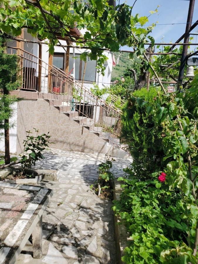 Lake Ohrid Guesthouse "Villa Valentina" Pogradec Luaran gambar